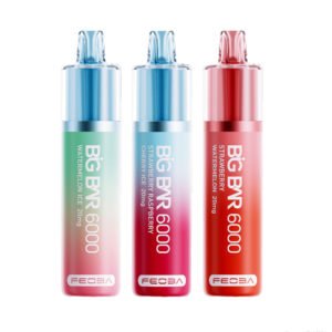 Feoba Big Bar 6000 Puffs Prefilled Vape